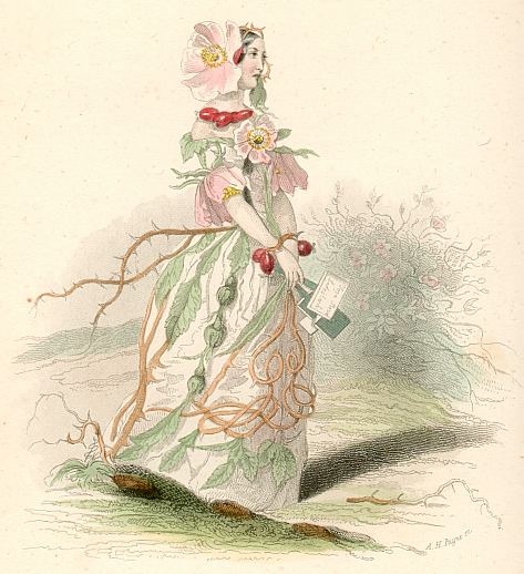 Blumengeister: Dornrschen
