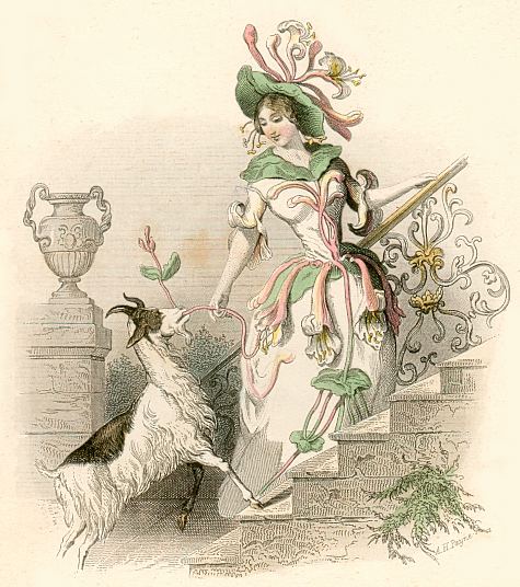 Blumengeister: Geiblatt