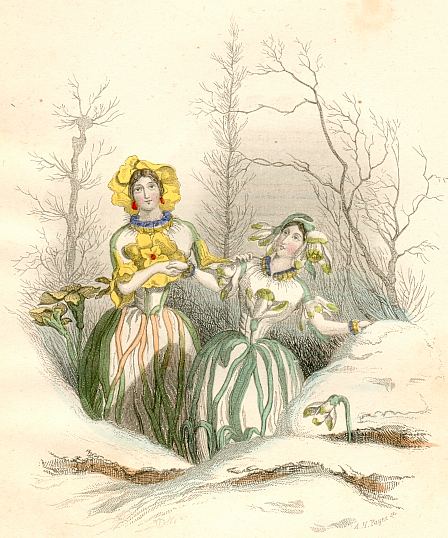Blumengeister: Schneeglckchen und Himmelsschlsselchen