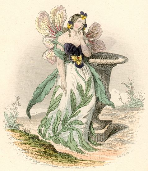 Blumengeister: Stiefmtterchen