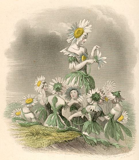 Blumengeister: Tausendschn