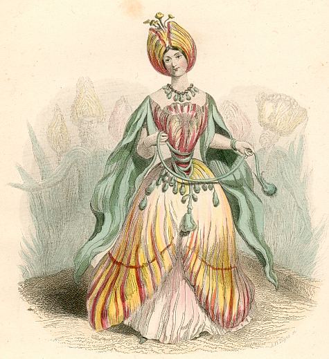 Blumengeister: Tulpe