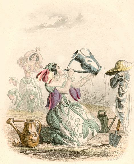 Blumengeister: Wicke