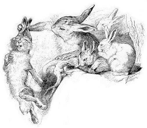 Osterhase & co